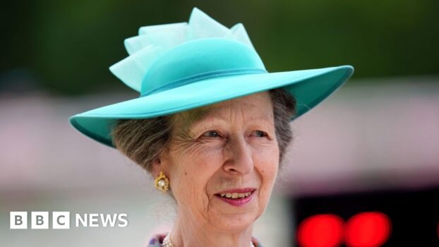 Princess Anne leaves hospital after treatment for minor injury