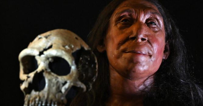 Fossil of Neanderthal child with signs of Down syndrome suggests compassionate care, scientists say