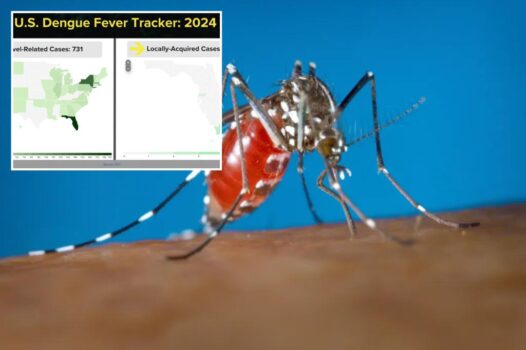 Dengue fever reported in Florida Keys in two locally-acquired cases